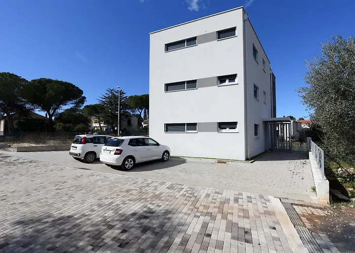 Feel Good & 扎达尔