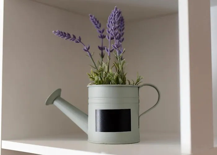 Feel Good & 公寓 *