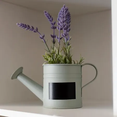 Feel Good & アパート *